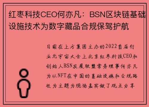 红枣科技CEO何亦凡：BSN区块链基础设施技术为数字藏品合规保驾护航