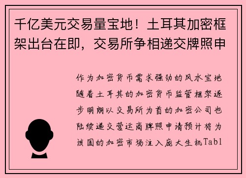 千亿美元交易量宝地！土耳其加密框架出台在即，交易所争相递交牌照申请